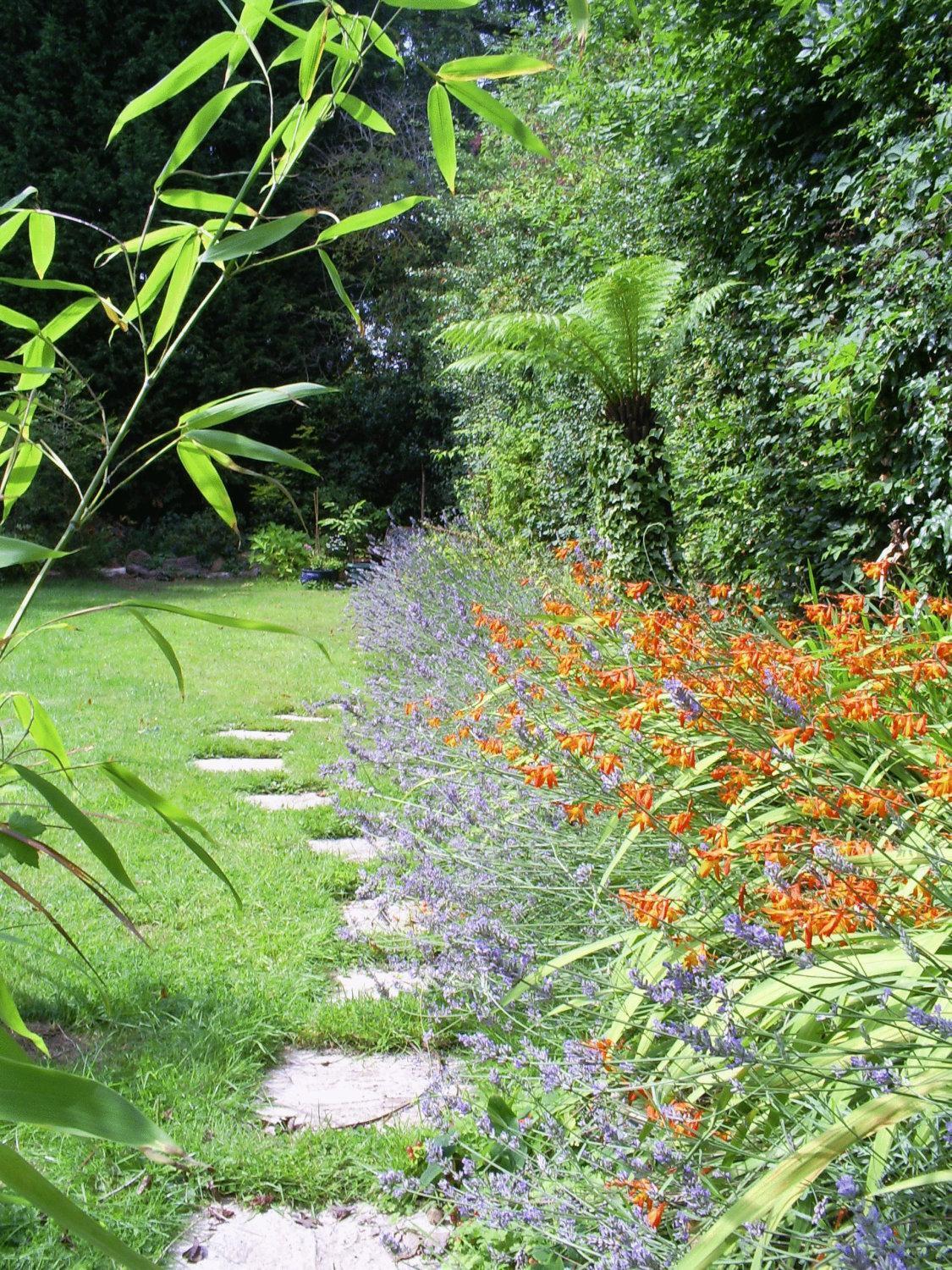 Bed & Breakfast Avonpark House